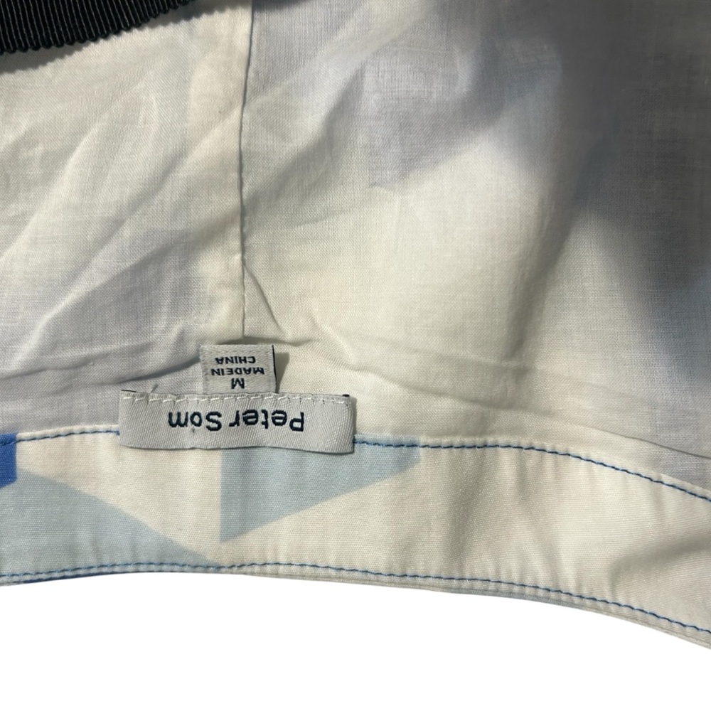 Anthropologie Blue and White Maxi Dress - Picture 12 of 12